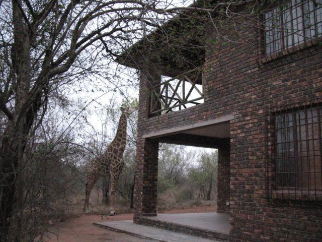 Crowe'S Nest Villa Marloth Park Eksteriør bilde